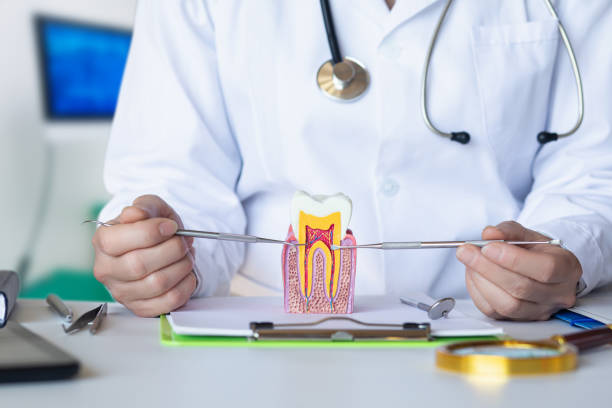 Best Pediatric Emergency Dentist in North Little Rock, AR